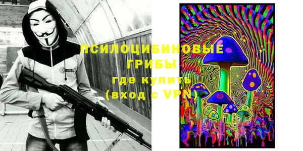 спиды Аркадак