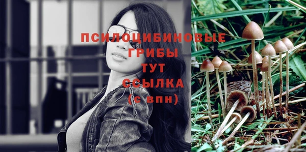 каннабис Арсеньев