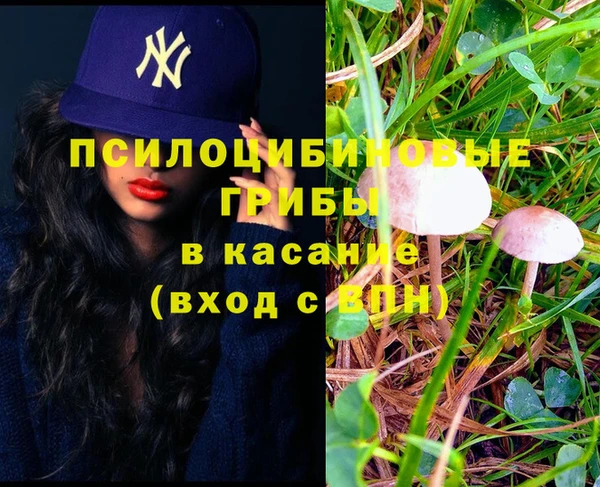 спиды Аркадак