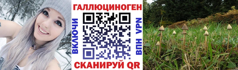 Псилоцибиновые грибы MAGIC MUSHROOMS  Лебедянь 
